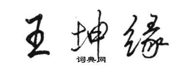 駱恆光王坤緣行書個性簽名怎么寫