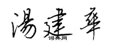 王正良湯建華行書個性簽名怎么寫
