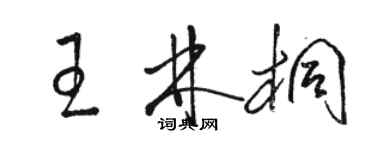 駱恆光王林桐草書個性簽名怎么寫