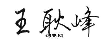 駱恆光王耿峰行書個性簽名怎么寫