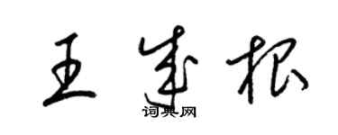 梁錦英王成根草書個性簽名怎么寫