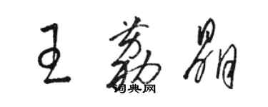 駱恆光王荔晶草書個性簽名怎么寫