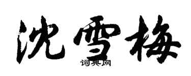 胡問遂沈雪梅行書個性簽名怎么寫