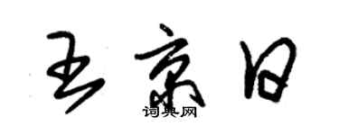 朱錫榮王京日草書個性簽名怎么寫