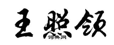 胡問遂王照領行書個性簽名怎么寫