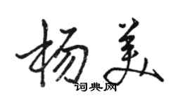 駱恆光楊美行書個性簽名怎么寫