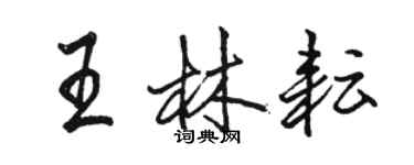 駱恆光王林耘行書個性簽名怎么寫