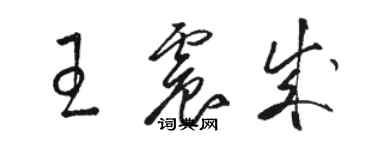 駱恆光王震成草書個性簽名怎么寫