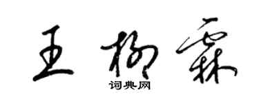 梁錦英王柳霖草書個性簽名怎么寫