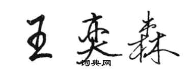 駱恆光王奕森行書個性簽名怎么寫