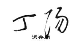 駱恆光丁陽草書個性簽名怎么寫