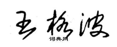 朱錫榮王格波草書個性簽名怎么寫