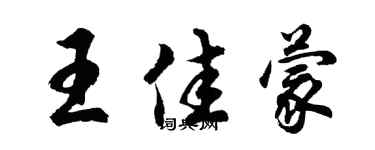 胡問遂王佳蒙行書個性簽名怎么寫