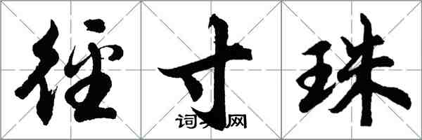 胡問遂徑寸珠行書怎么寫