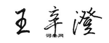 駱恆光王辛澄行書個性簽名怎么寫