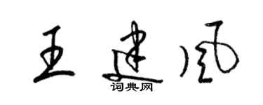 梁錦英王建風草書個性簽名怎么寫