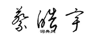 梁錦英蔡皓宇草書個性簽名怎么寫