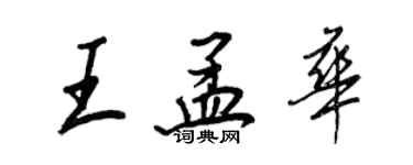 王正良王孟華行書個性簽名怎么寫