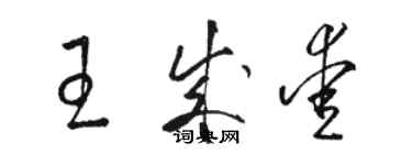 駱恆光王成愛草書個性簽名怎么寫