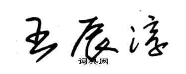 朱錫榮王辰淳草書個性簽名怎么寫