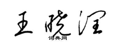 梁錦英王曉潤草書個性簽名怎么寫