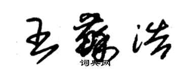 朱錫榮王蘇浩草書個性簽名怎么寫