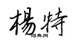王正良楊特行書個性簽名怎么寫