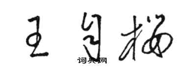 駱恆光王自櫻草書個性簽名怎么寫