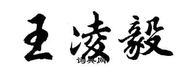 胡問遂王凌毅行書個性簽名怎么寫