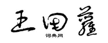 曾慶福王田蘿草書個性簽名怎么寫