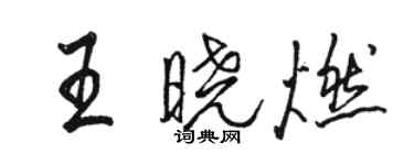 駱恆光王曉燃行書個性簽名怎么寫