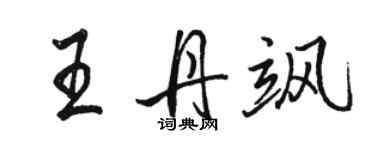 駱恆光王丹颯行書個性簽名怎么寫