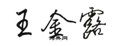 駱恆光王金露行書個性簽名怎么寫