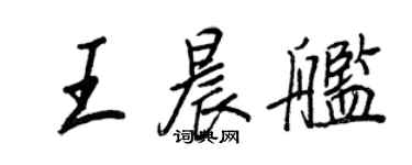 王正良王晨艦行書個性簽名怎么寫