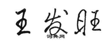 駱恆光王發旺行書個性簽名怎么寫