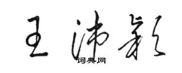 駱恆光王沛穎草書個性簽名怎么寫