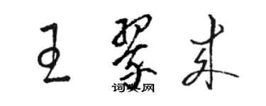 駱恆光王翠來草書個性簽名怎么寫