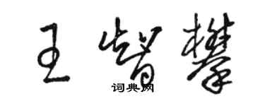 駱恆光王智攀草書個性簽名怎么寫