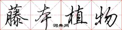 田英章藤本植物行書怎么寫