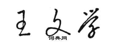 駱恆光王文學草書個性簽名怎么寫