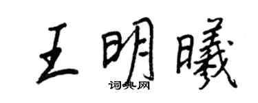 王正良王明曦行書個性簽名怎么寫