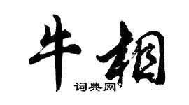 胡問遂牛相行書個性簽名怎么寫