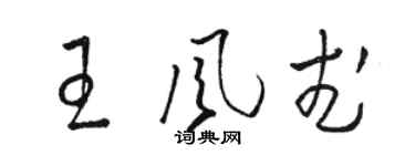駱恆光王風武草書個性簽名怎么寫