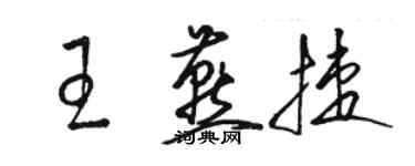 駱恆光王燕捷草書個性簽名怎么寫