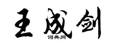 胡問遂王成劍行書個性簽名怎么寫