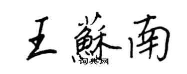 王正良王蘇南行書個性簽名怎么寫