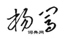 駱恆光楊闖草書個性簽名怎么寫