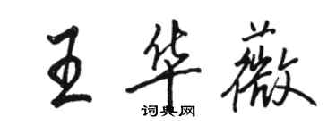 駱恆光王華薇行書個性簽名怎么寫