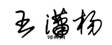 朱錫榮王瀟楊草書個性簽名怎么寫