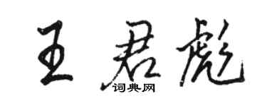 駱恆光王君彪行書個性簽名怎么寫